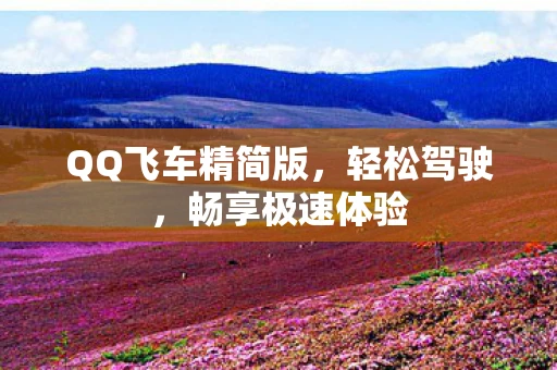 QQ飞车精简版，轻松驾驶，畅享极速体验