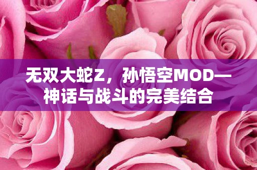 无双大蛇Z，孙悟空MOD—神话与战斗的完美结合