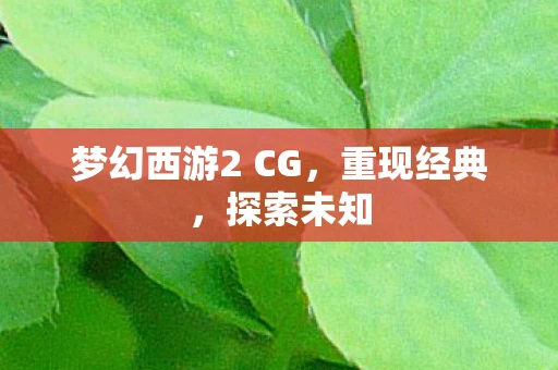 梦幻西游2 CG，重现经典，探索未知