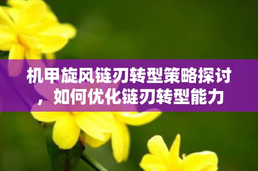 机甲旋风链刃转型策略探讨，如何优化链刃转型能力
