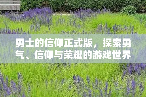 勇士的信仰正式版，探索勇气、信仰与荣耀的游戏世界