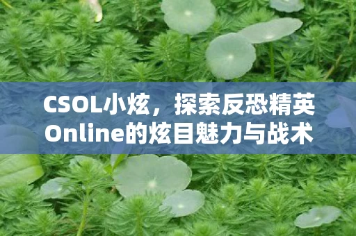 探索反恐精英Online的炫目魅力与战术深度图片