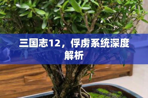 三国志12，俘虏系统深度解析