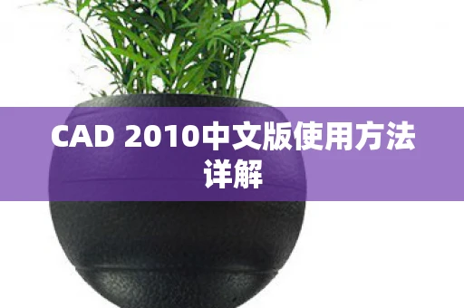 CAD 2010中文版使用方法详解