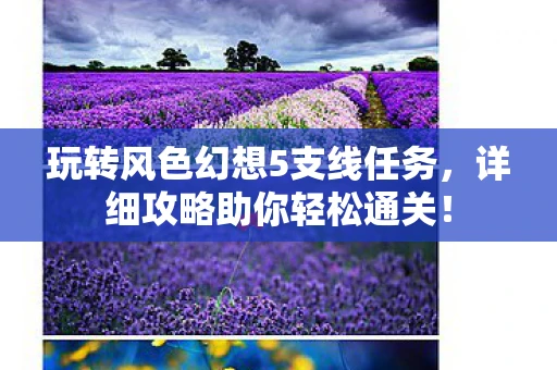 玩转风色幻想5支线任务，详细攻略助你轻松通关！