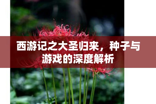 西游记之大圣归来，种子与游戏的深度解析