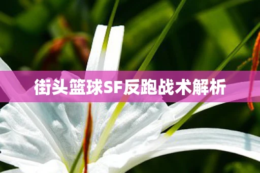 街头篮球SF反跑战术解析