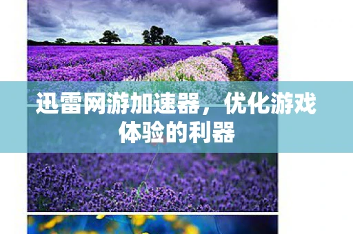 迅雷网游加速器，优化游戏体验的利器