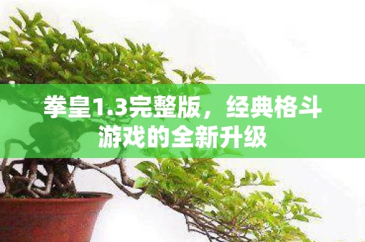 经典格斗游戏的全新升级图片