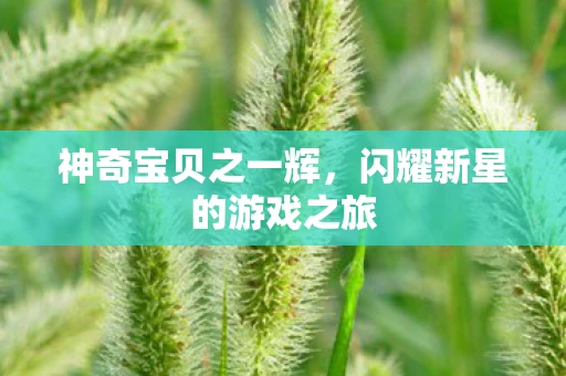 神奇宝贝之一辉，闪耀新星的游戏之旅