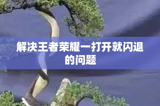 解决王者荣耀一打开就闪退的问题