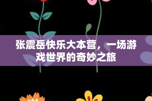 张震岳快乐大本营，一场游戏世界的奇妙之旅