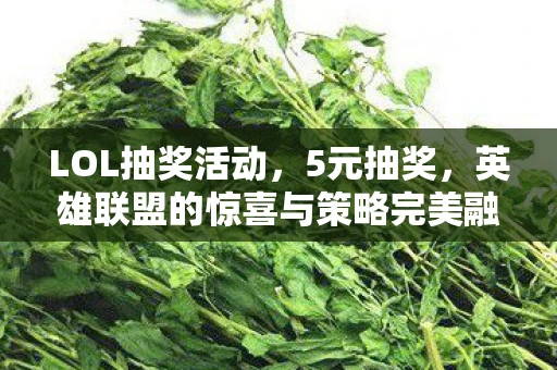 LOL抽奖活动，5元抽奖，英雄联盟的惊喜与策略完美融合