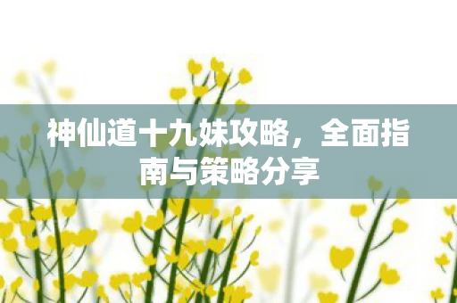 神仙道十九妹攻略，全面指南与策略分享