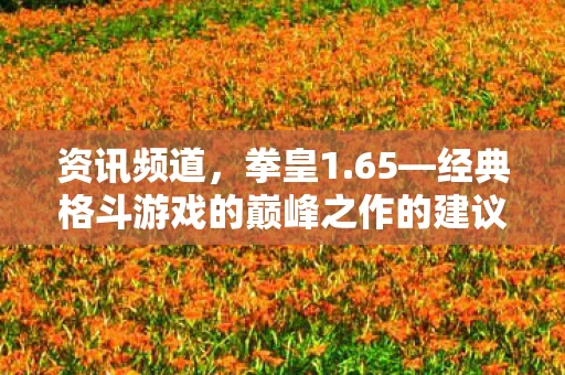 资讯频道，拳皇1.65—经典格斗游戏的巅峰之作的建议与解析