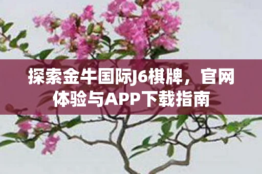 探索金牛国际J6棋牌，官网体验与APP下载指南