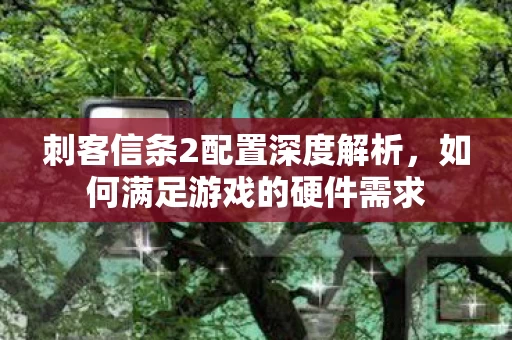 刺客信条2配置深度解析图片