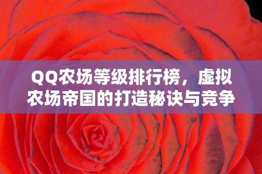 QQ农场等级排行榜，虚拟农场帝国的打造秘诀与竞争现状