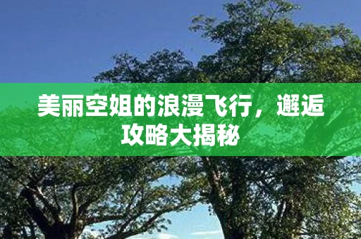 美丽空姐的浪漫飞行，邂逅攻略大揭秘