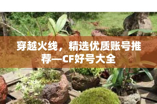 穿越火线，精选优质账号推荐—CF好号大全
