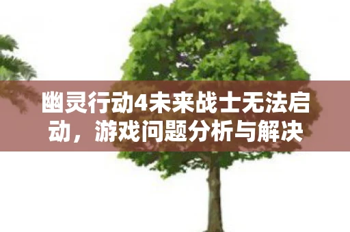 幽灵行动4未来战士无法启动，游戏问题分析与解决