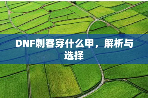 DNF刺客穿什么甲，解析与选择