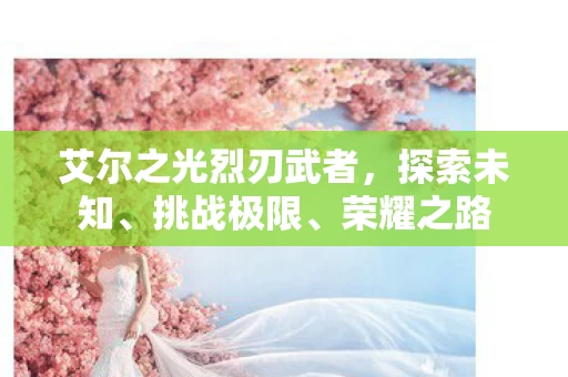 艾尔之光烈刃武者图片