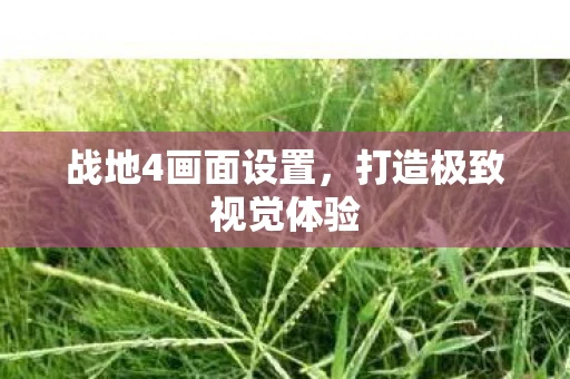 战地4画面设置，打造极致视觉体验