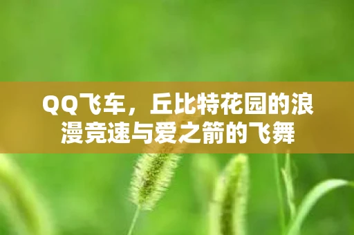 QQ飞车，丘比特花园的浪漫竞速与爱之箭的飞舞