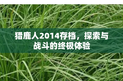 猎鹿人2014存档，探索与战斗的终极体验