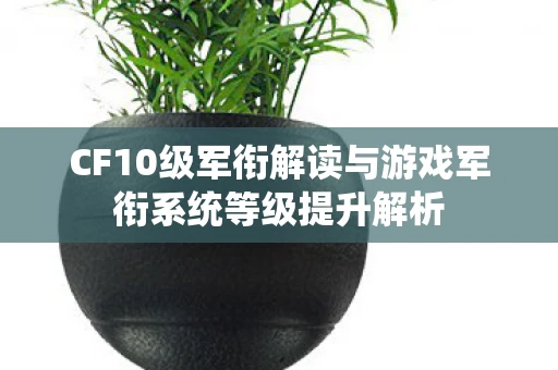 CF10级军衔解读与游戏军衔系统等级提升解析