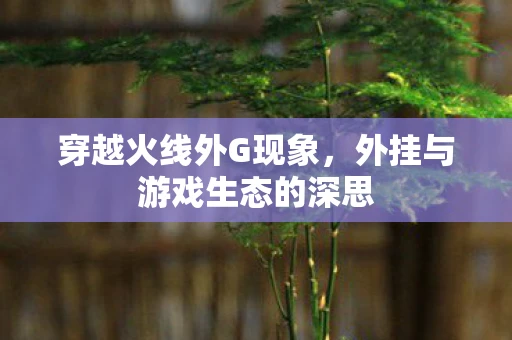 穿越火线外G现象，外挂与游戏生态的深思