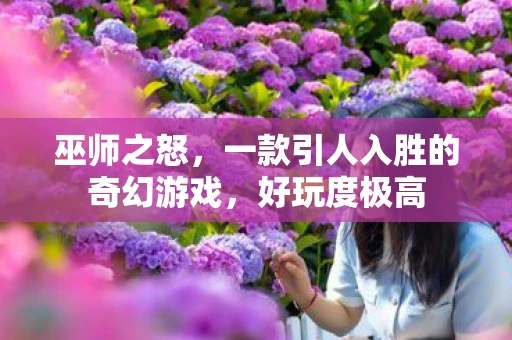 巫师之怒，一款引人入胜的奇幻游戏，好玩度极高