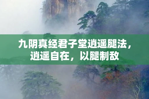 九阴真经君子堂逍遥腿法，逍遥自在，以腿制敌