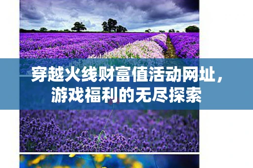 穿越火线财富值活动网址，游戏福利的无尽探索