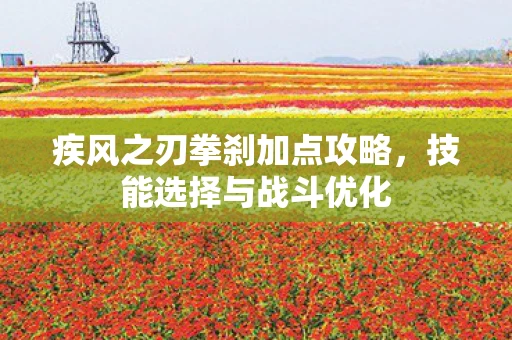 疾风之刃拳刹加点攻略，技能选择与战斗优化