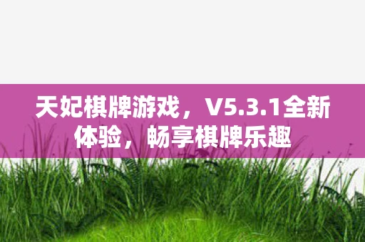 天妃棋牌游戏，V5.3.1全新体验，畅享棋牌乐趣