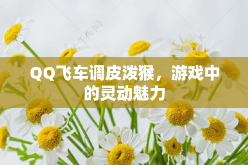 QQ飞车调皮泼猴图片