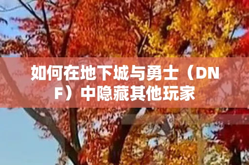 如何在地下城与勇士（DNF）中隐藏其他玩家