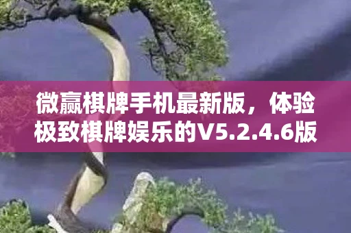 微赢棋牌手机最新版，体验极致棋牌娱乐的V5.2.4.6版本