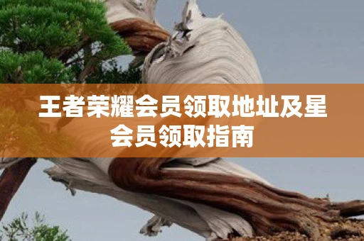 王者荣耀会员领取地址及星会员领取指南