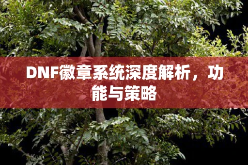 DNF徽章系统深度解析，功能与策略