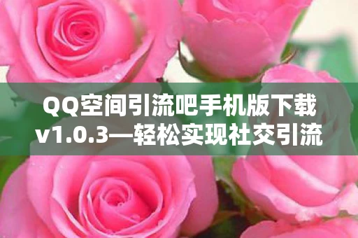 QQ空间引流吧手机版下载v1图片