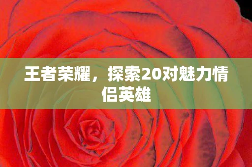 王者荣耀，探索20对魅力情侣英雄