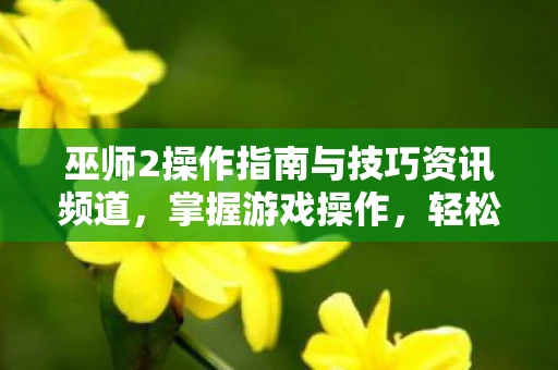 巫师2操作指南与技巧资讯频道，掌握游戏操作，轻松成为巫师大师