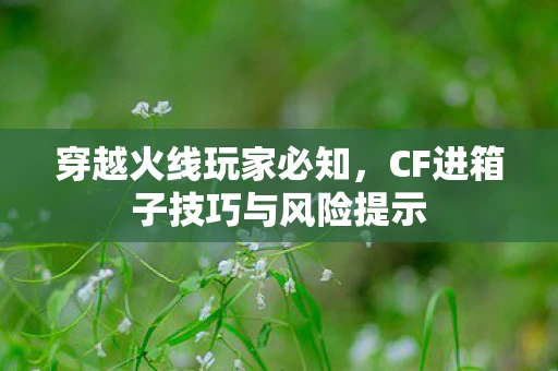 穿越火线玩家必知，CF进箱子技巧与风险提示