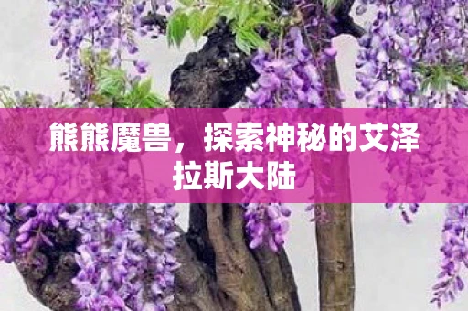 熊熊魔兽，探索神秘的艾泽拉斯大陆