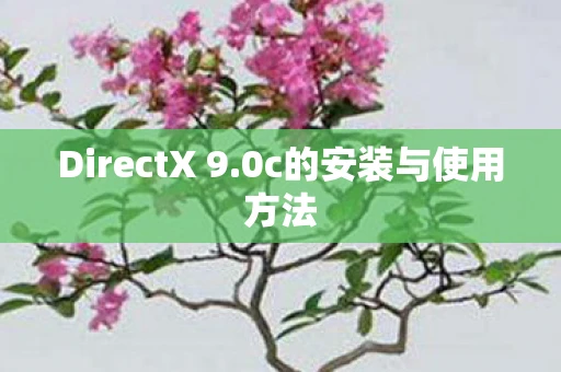 DirectX 9.0c的安装与使用方法