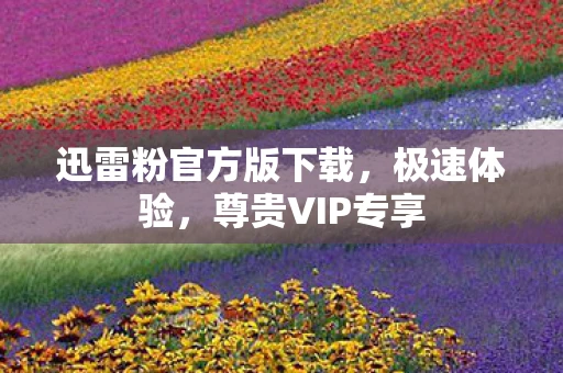 迅雷粉官方版下载，极速体验，尊贵VIP专享