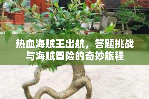 热血海贼王出航，答题挑战与海贼冒险的奇妙旅程